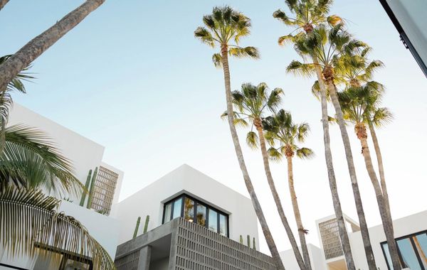 Drift San Jose del Cabo, a Member of Design Hotels - Hoteles económicos en San Jose del Cabo, México