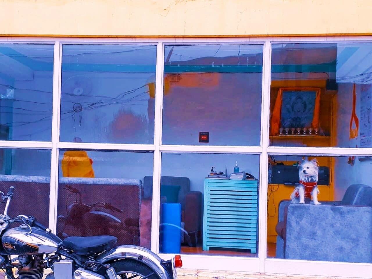 Vista Lobby Himalayan Bunker leh