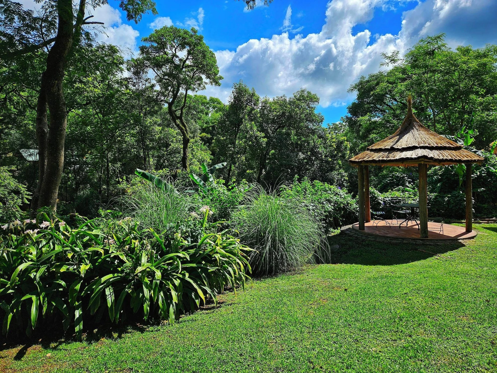 Vista Exterior Hotel Selva Montana