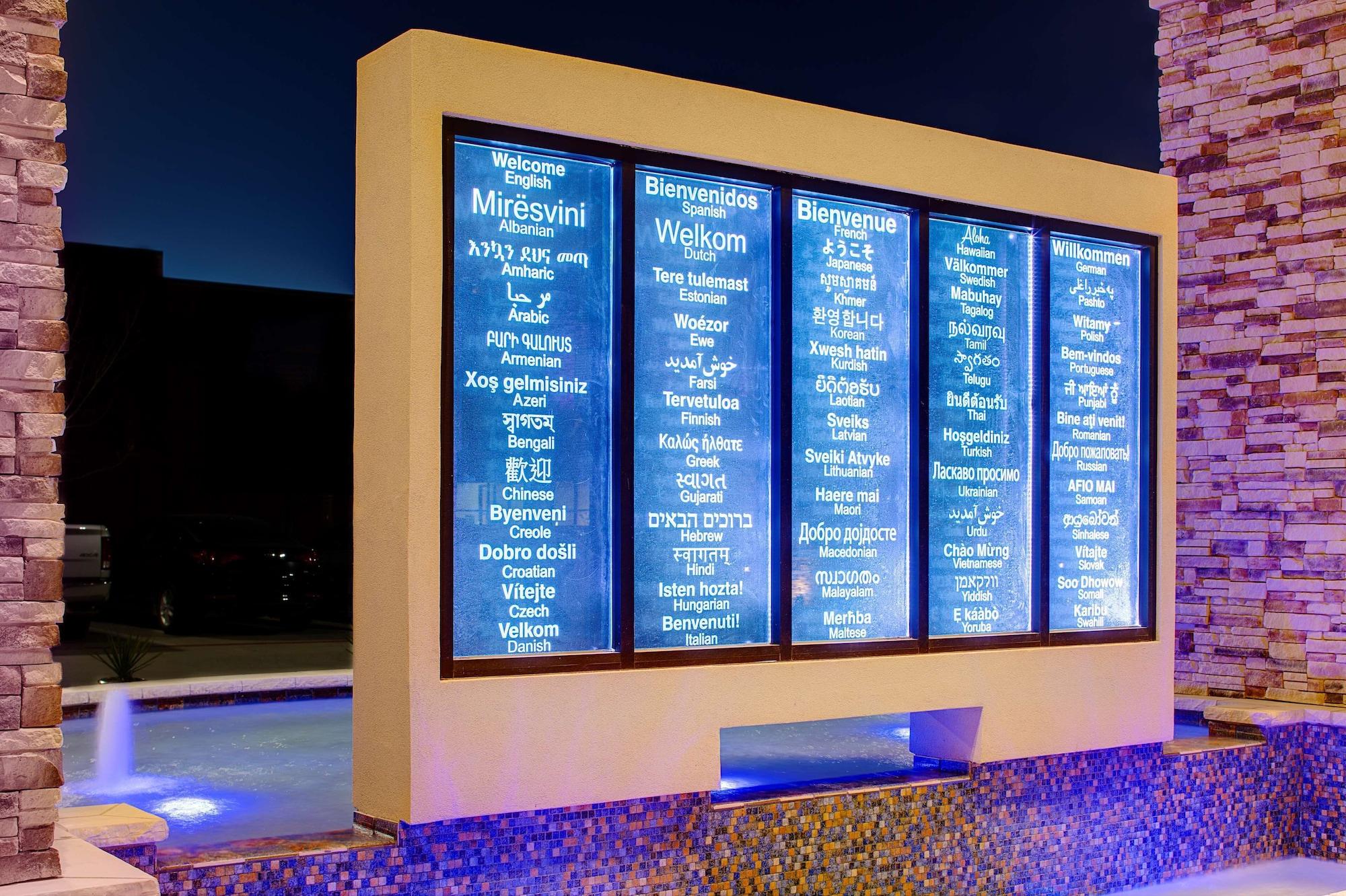 Vista Exterior Hilton Garden Inn Dallas/Arlington South