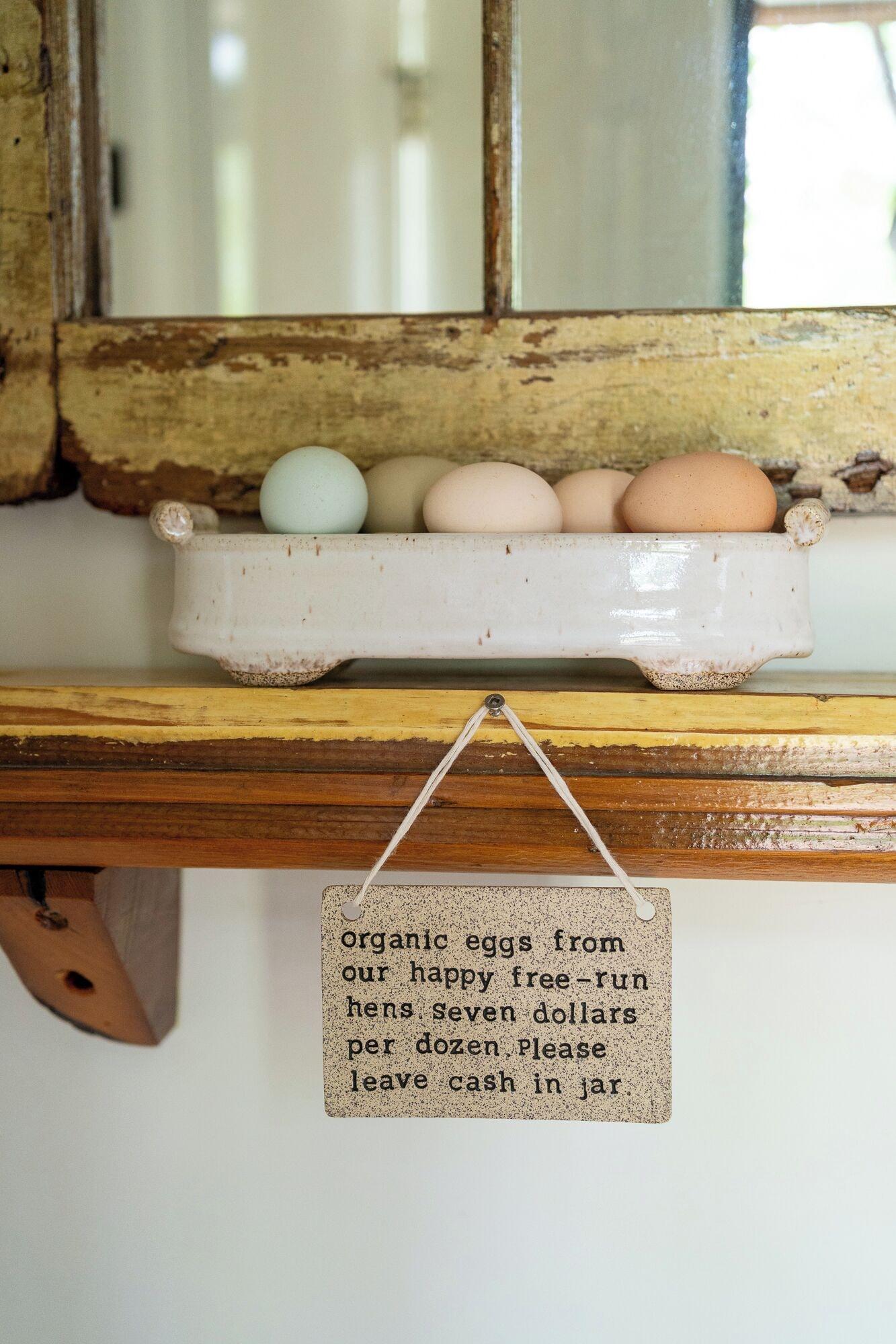 Vista Lobby Owl's Nest Suites