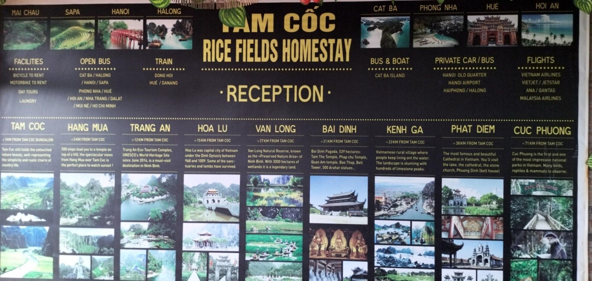 Vista Lobby Tam Coc Rice Fields Homestay