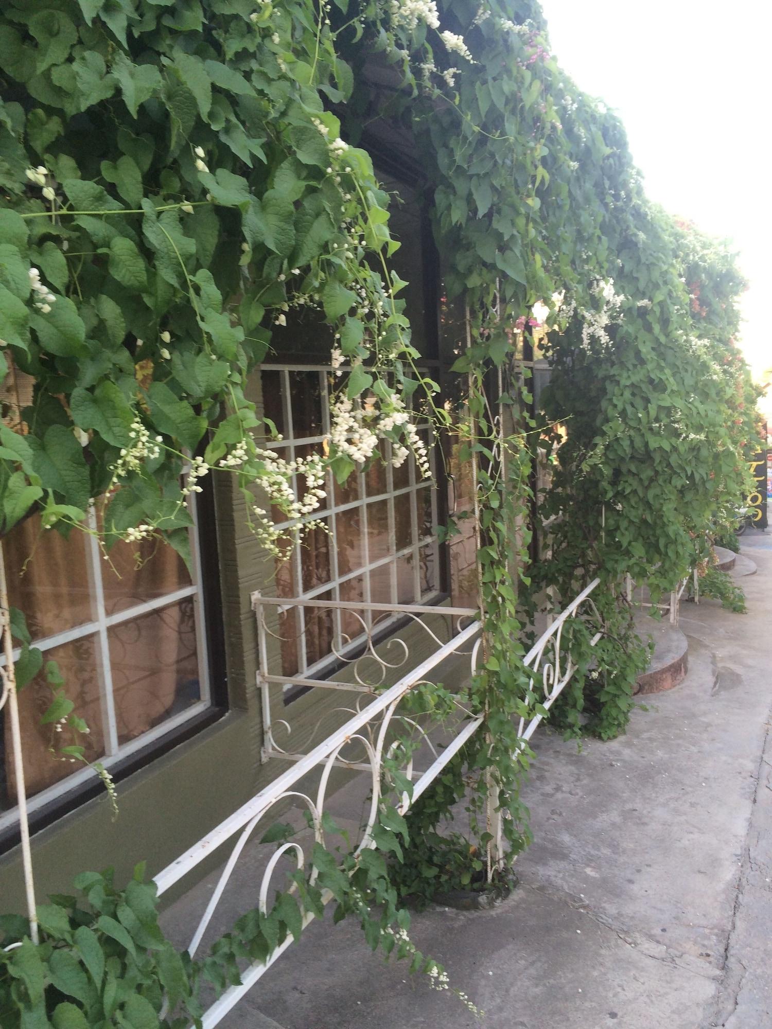 Comodidades del Alojamiento Supreeya Guesthouse - Hostel