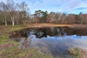 Alquiler Vacacional - Spacious luxury home very nicely furnished 110m2 no cleaning costs