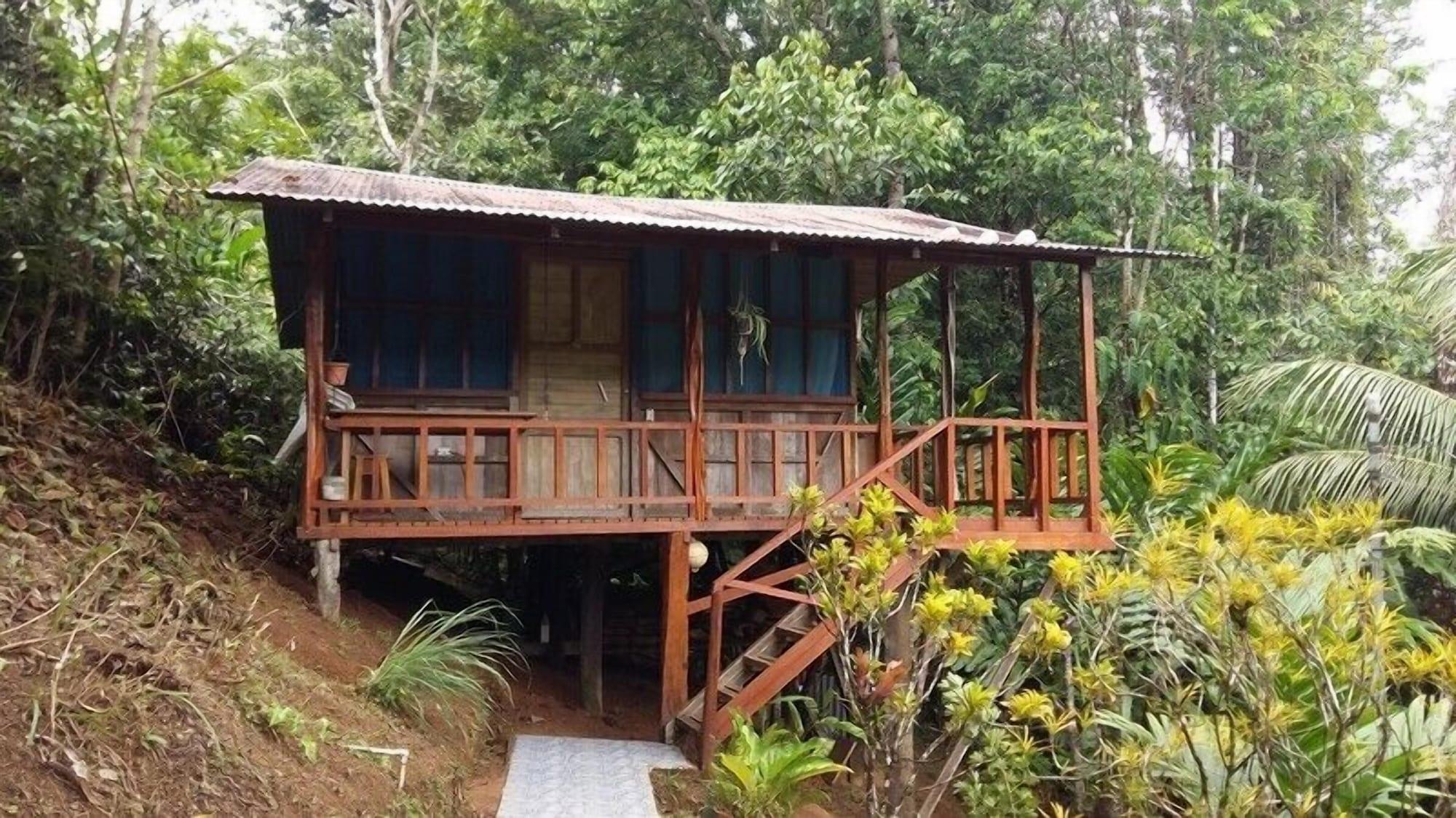 Varios Bromelias Corcovado Apartments