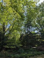 Alquiler Vacacional - Red Pine Retreat- 3BR/2BA private cottage, fire pit+patio, walk to beach+shops!