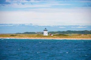 Passeio - Ferry Rápida para Provincetown, Cabo Cod - Bilhete