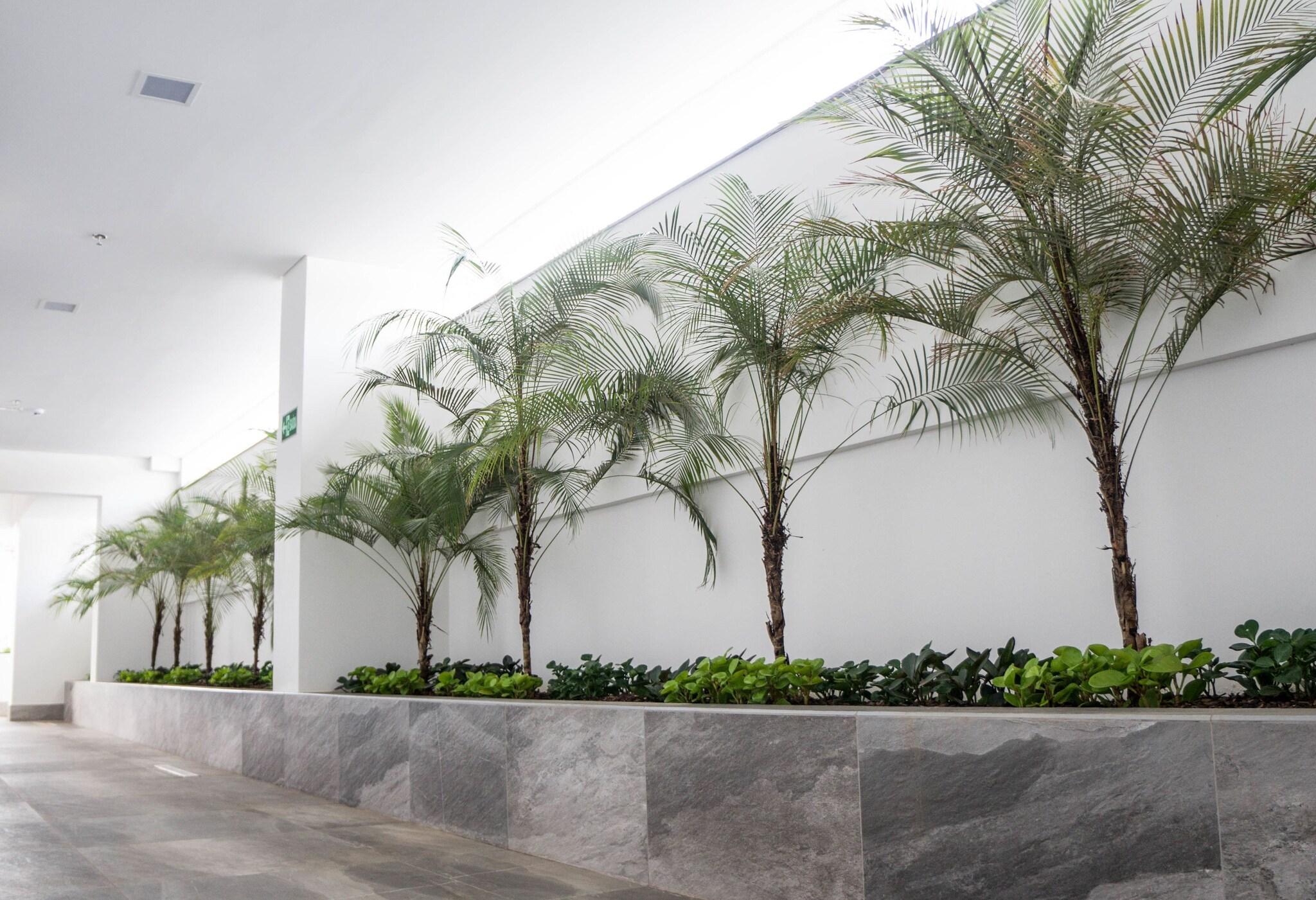 Vista Exterior Gran Executive Hotel