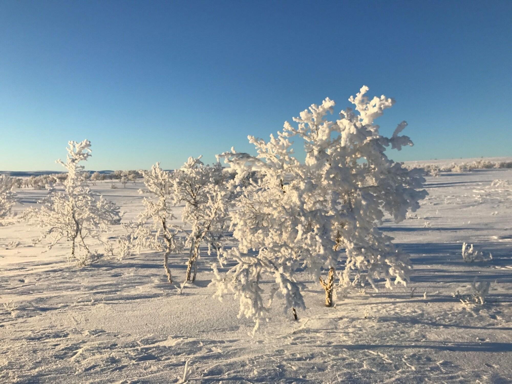 Instalaciones Recreativas Gargia Lodge