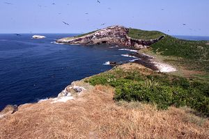 Actividad - Tour Bahía Tintoreras-Isla Isabela.