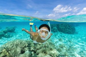 Actividad - Tour a Isla Saona Vip en embarcacion rapida