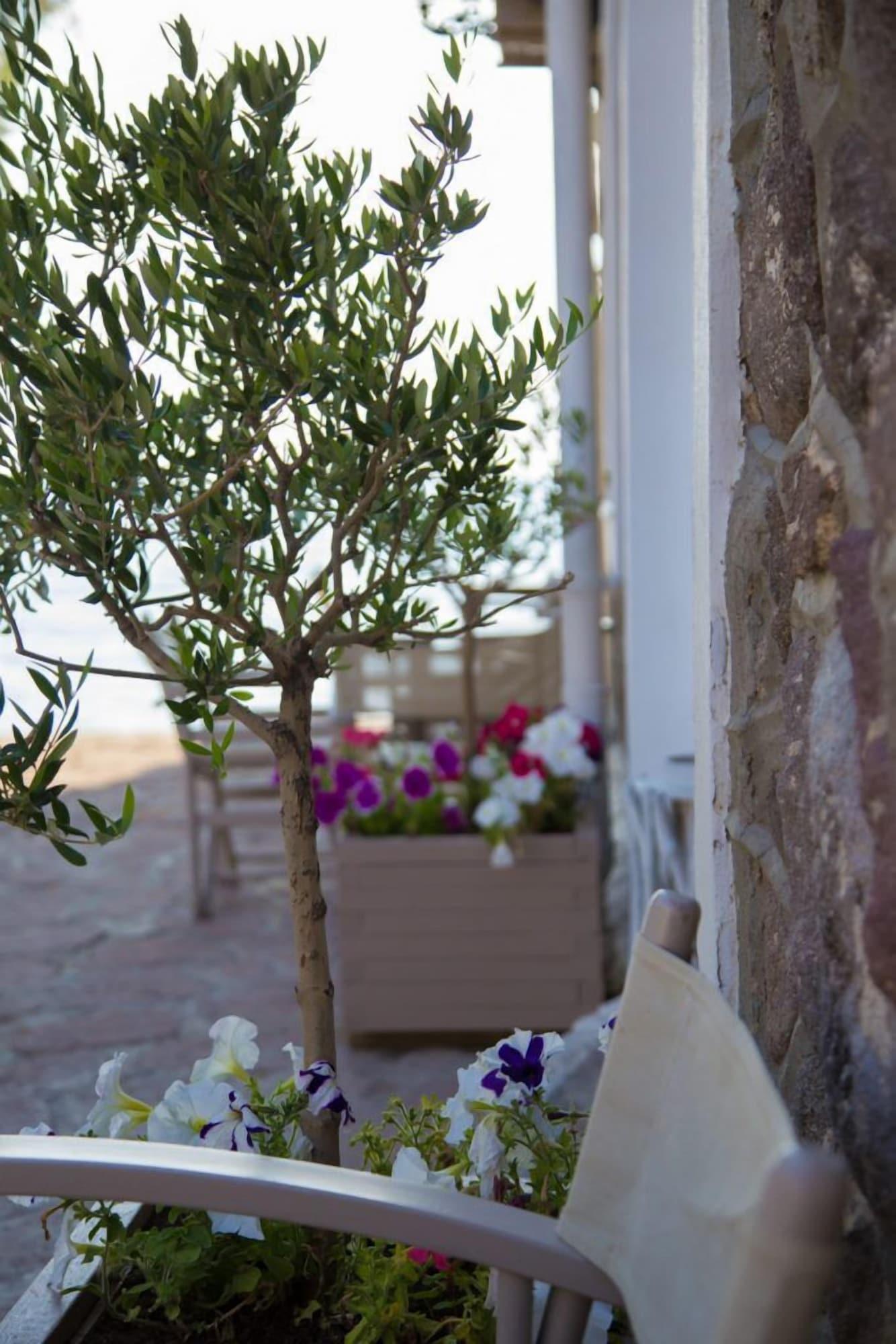 Vista Exterior Olive Press Hotel & Apartments