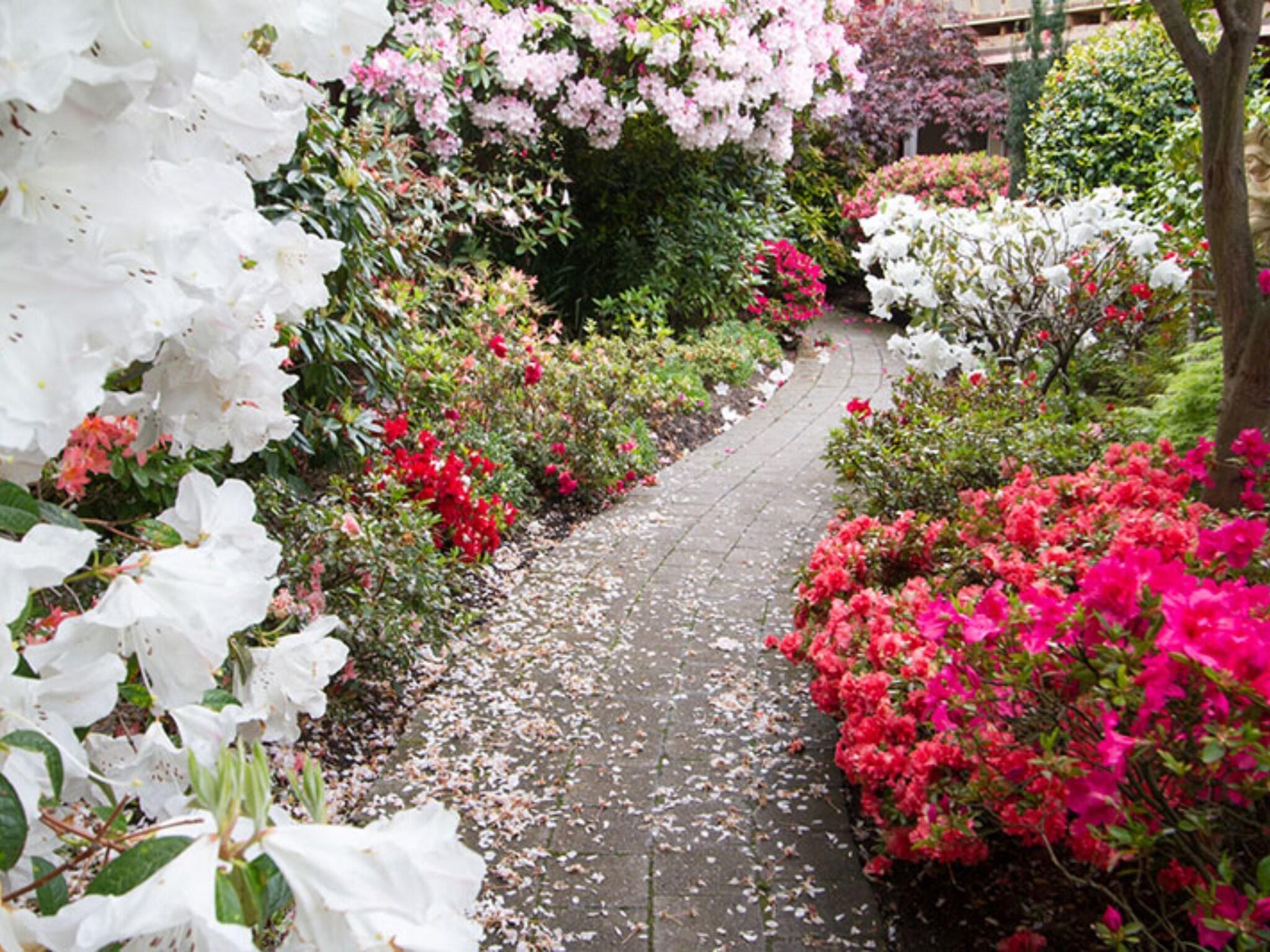 Restaurant 538 Great King Motel