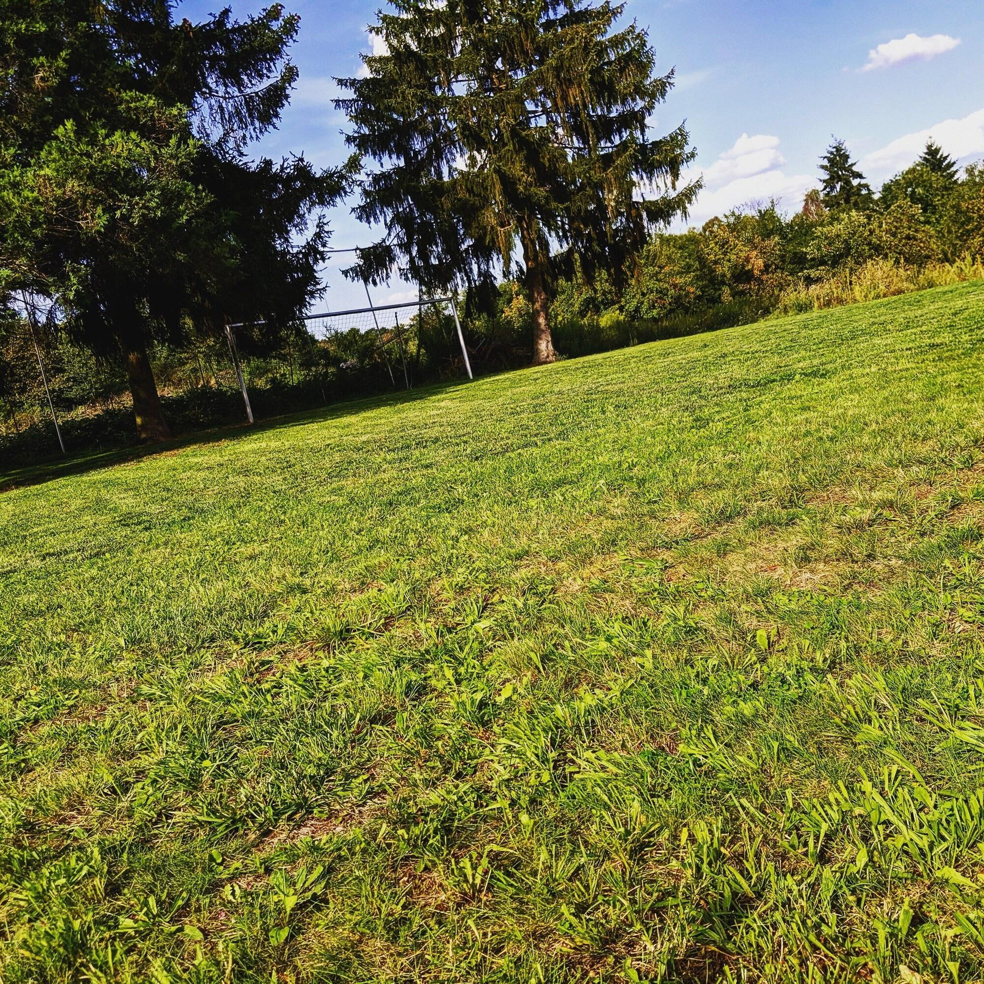 Instalaciones Recreativas Hotel Odenwaldblick