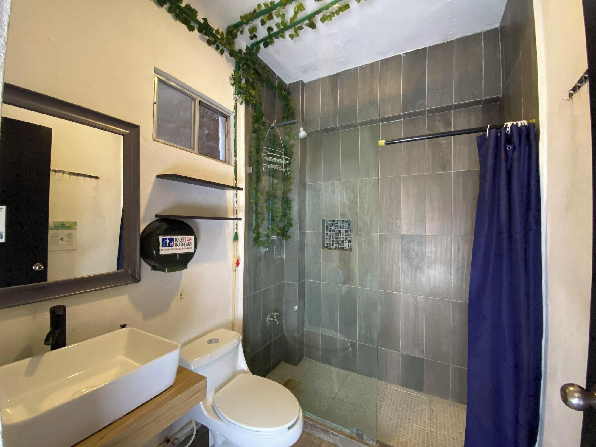 Equipamiento de Habitación Maui Hostel - Adults Only