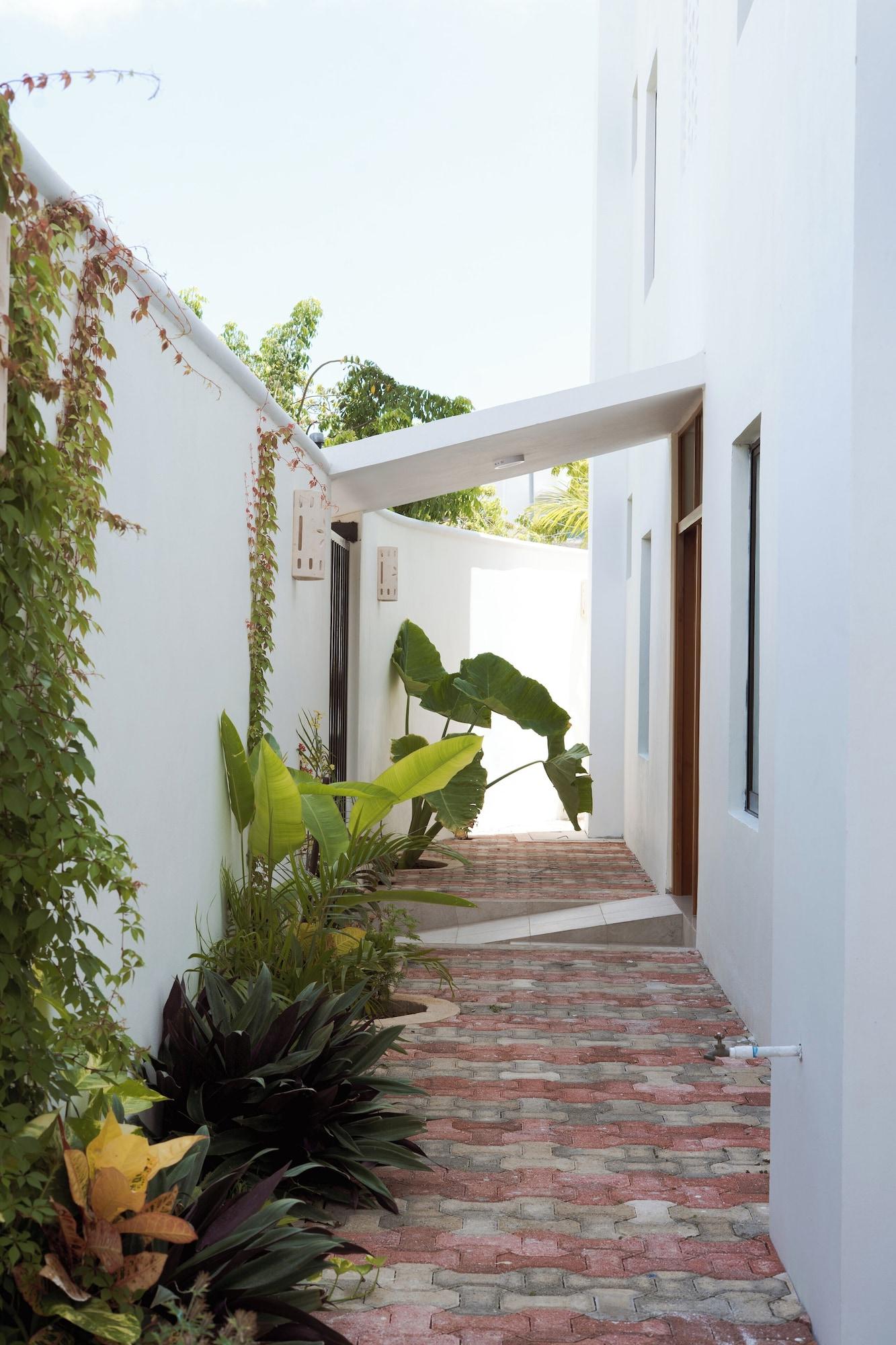 Vista Exterior Saules Sueño