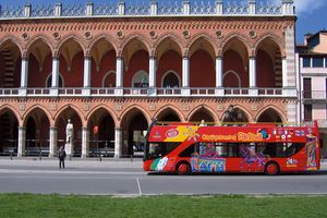 Actividad - City Sightseeing Padua