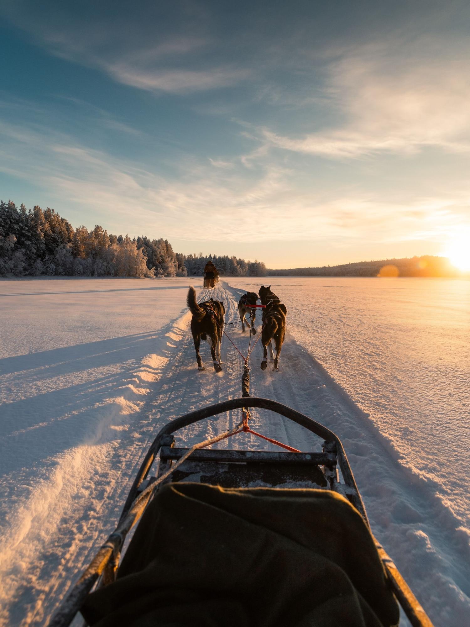 Instalaciones Recreativas SkyView Igloo Resort
