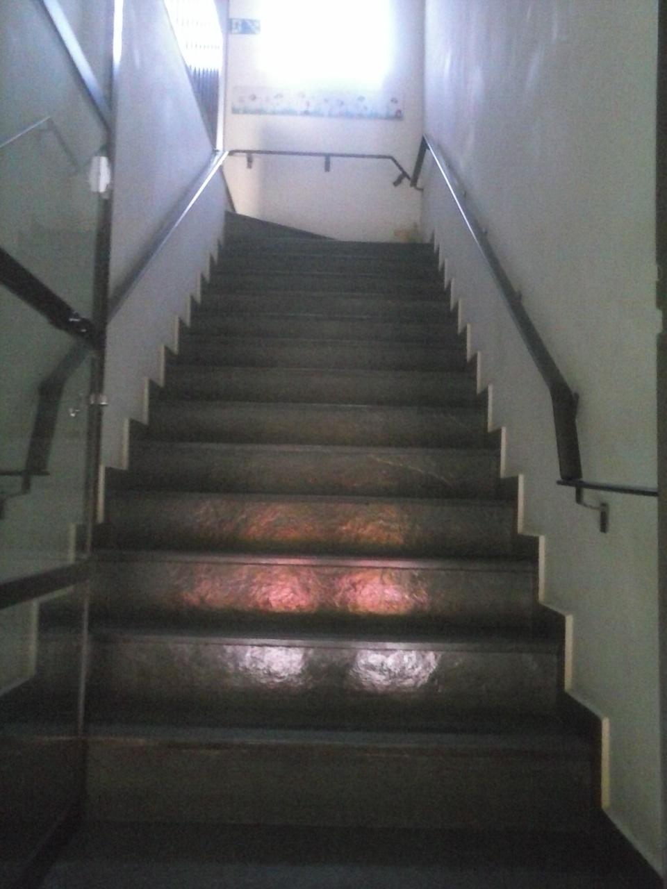 Comodidades del Alojamiento Pousada das Conchas