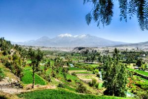 Actividad - PIK - Campina y Molino de Sabandía