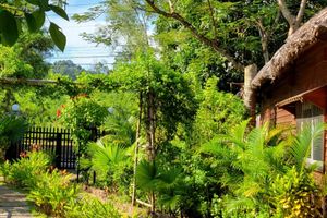 Alojamiento - Bamboo Cottages