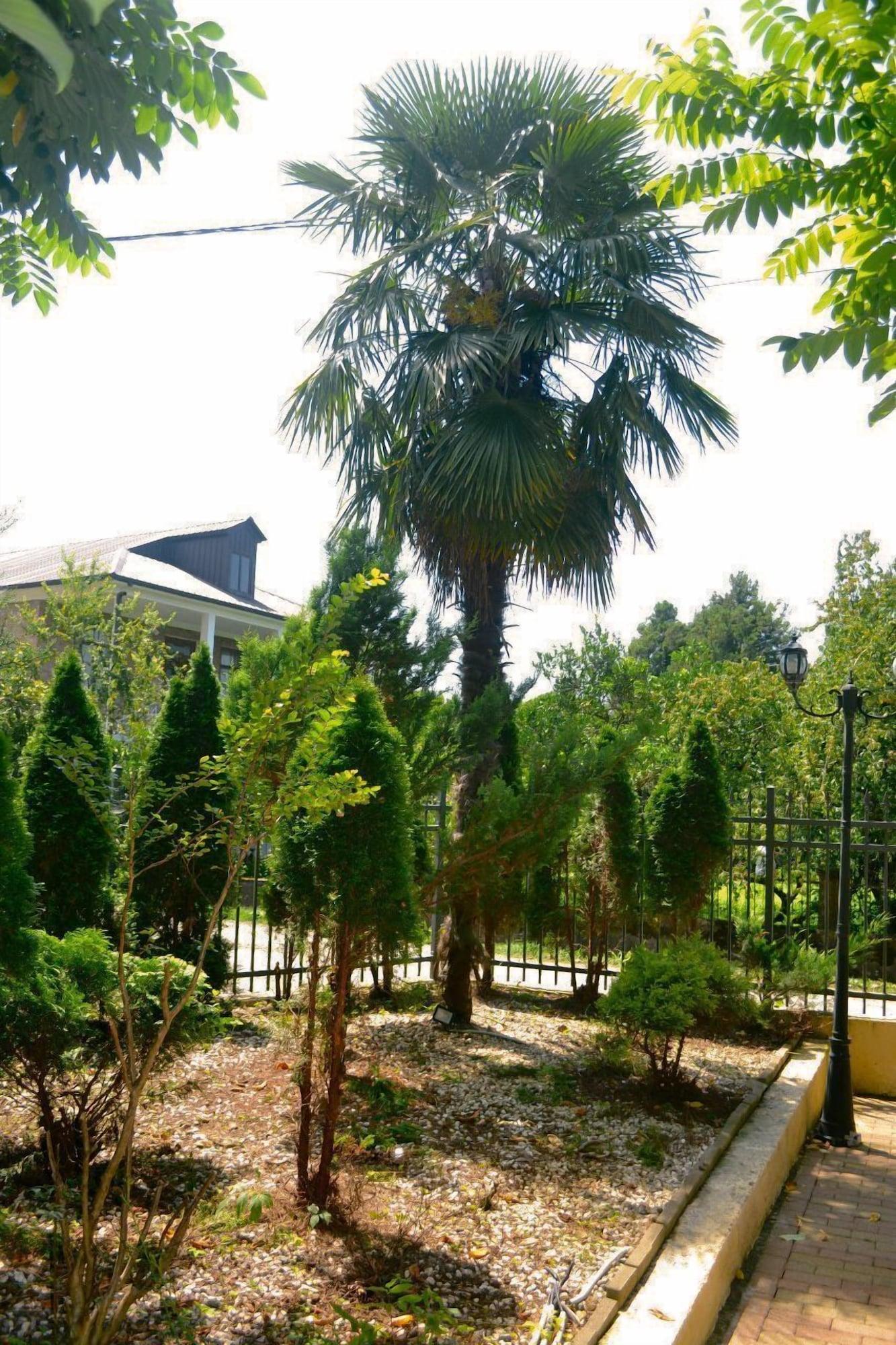 Comodidades del Alojamiento Rosa Hotel Gonio