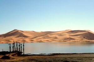 Alojamiento - La Vallee Des Dunes
