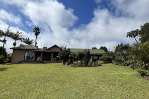 Alojamiento - Elephant's Nest Guest House