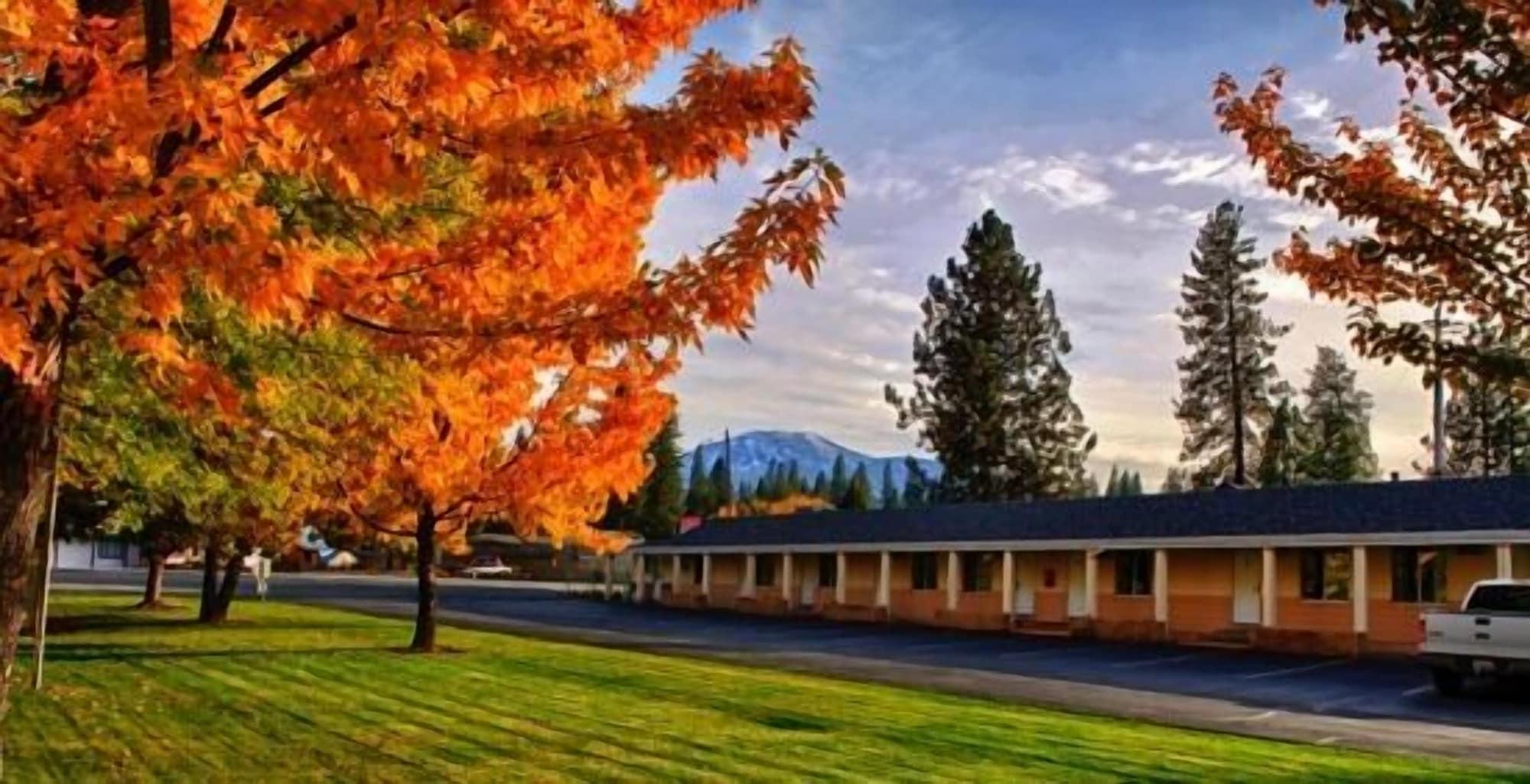 Varios Shasta Pines Motel & Suites
