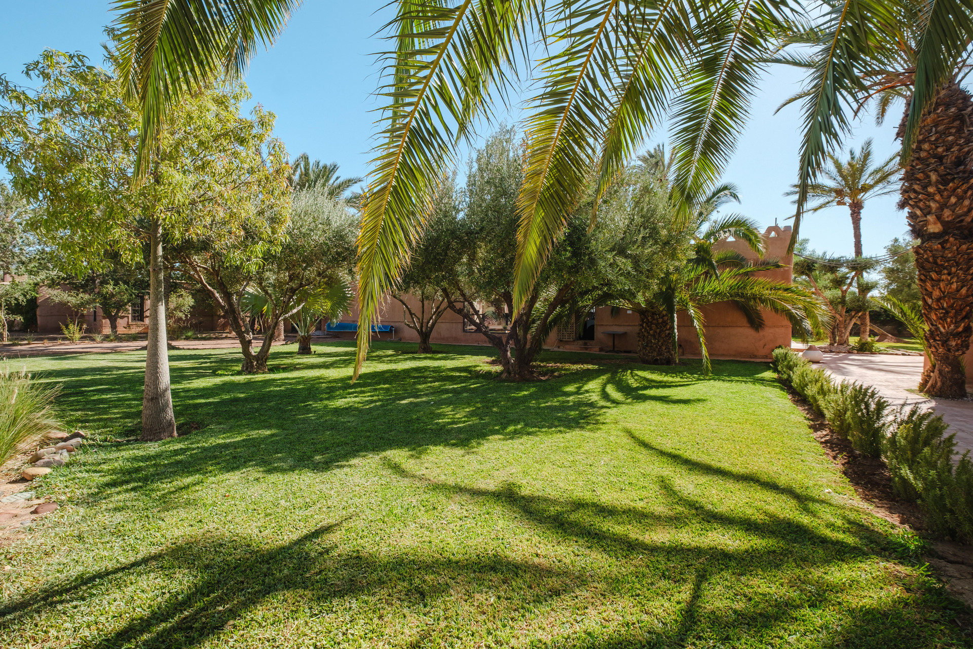 Vista Lobby Hotel Dar 55 Berbere House & Spa