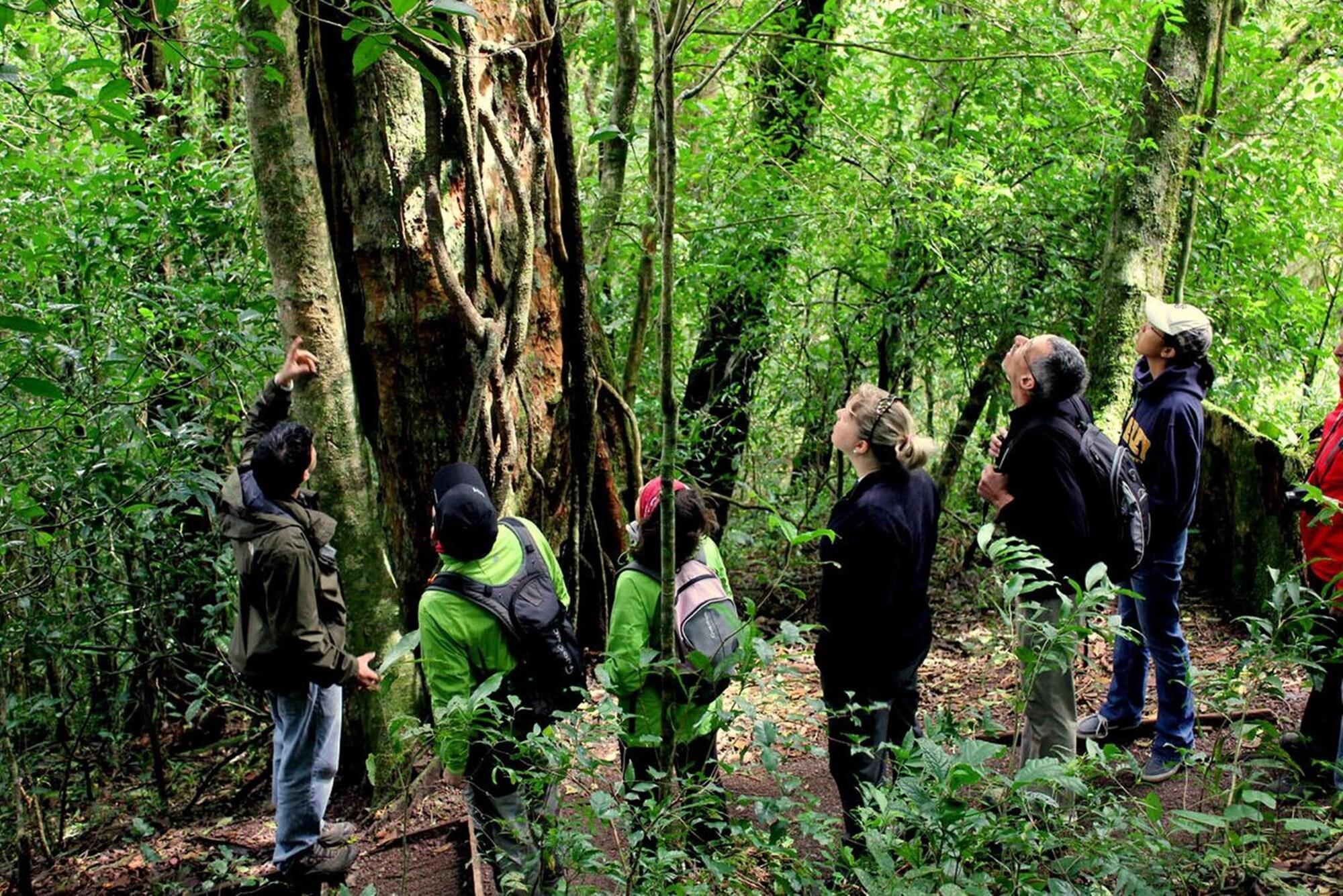Vista Exterior Hotel Roca Verde