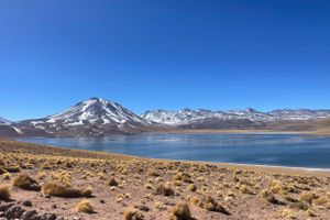 Actividad - Piedras Rojas, Lagunas Altiplánicas y Salar