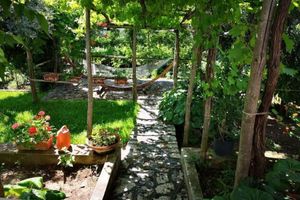 Alquiler Vacacional - Cozy cottage surrounded by a typical Capri garden. 10 min from the Blue Grotto.