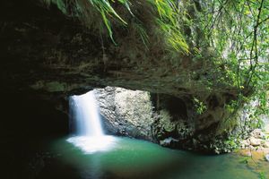 Actividad - Visita nocturna a la lombriz incandescente del Puente Natural