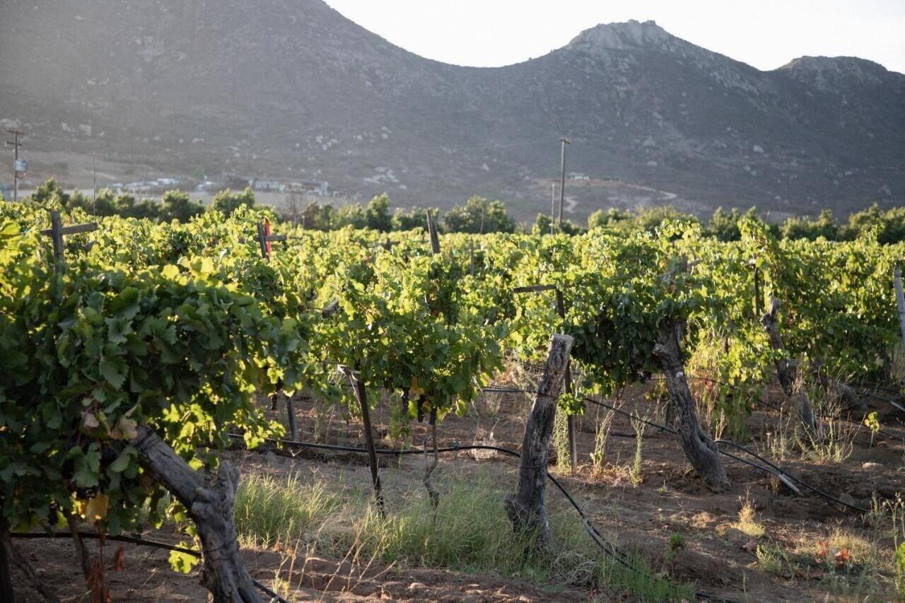 Vista Exterior TERRA DEL VALLE BED & BREAKFAST