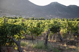 Alojamiento - TERRA DEL VALLE BED & BREAKFAST