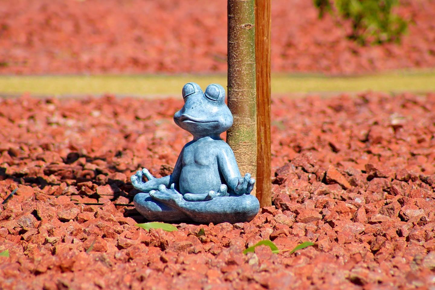 Vista Exterior Nirvana Hotel