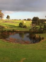 Alquiler Vacacional - Churchlane Chalet Albany