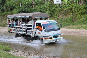 Actividad - Zip Lining Samaná