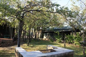Alojamiento - Warthogs Safari Camp