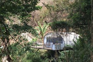 Alojamiento - Finca El Tambor