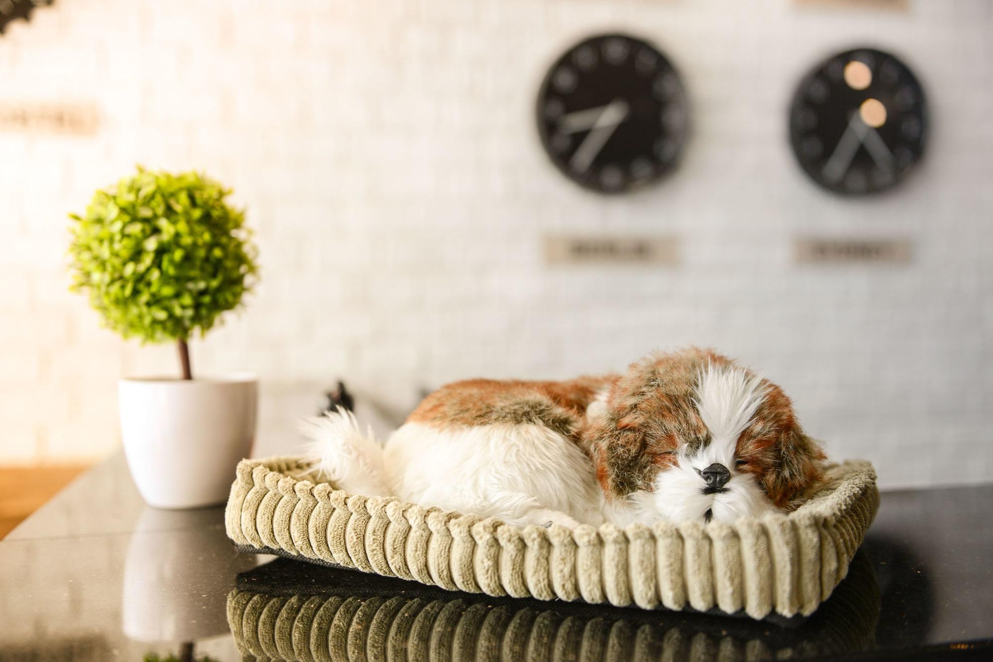 Vista Lobby The Cube Hostel Silom