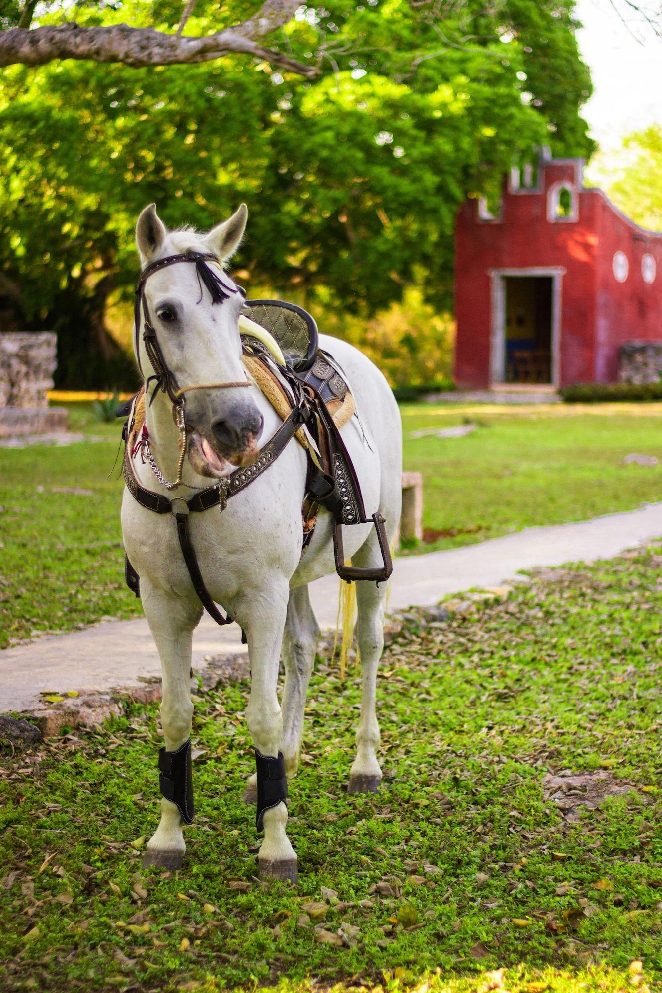 Instalaciones Recreativas Hotel Hacienda Ticum