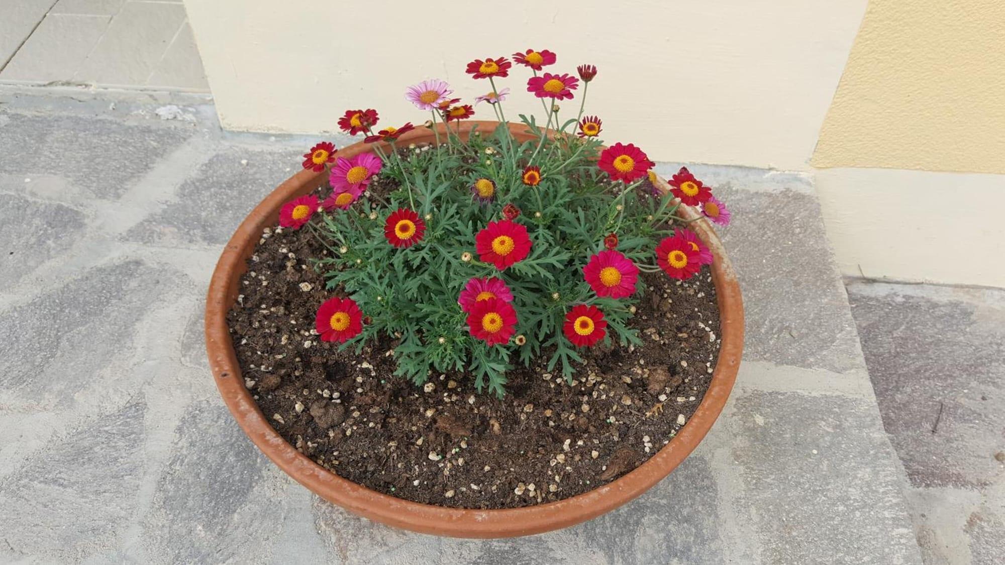 Restaurant Agriturismo Podere Casa al Vento