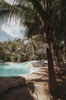 Promociones de Hoteles 5 Estrellas en Holbox Todo Incluido