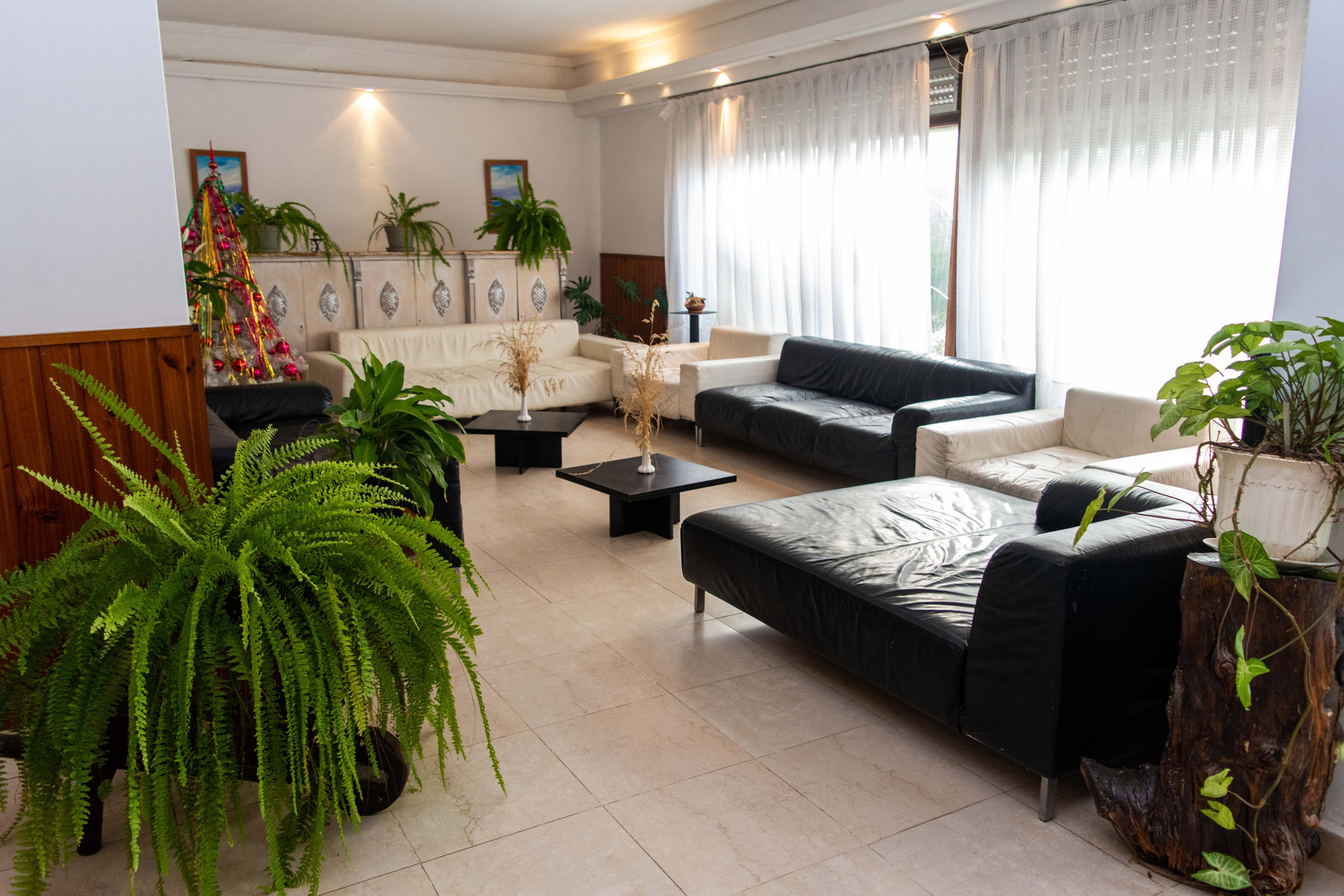 Comodidades del Alojamiento Hotel Nuevo Horizonte