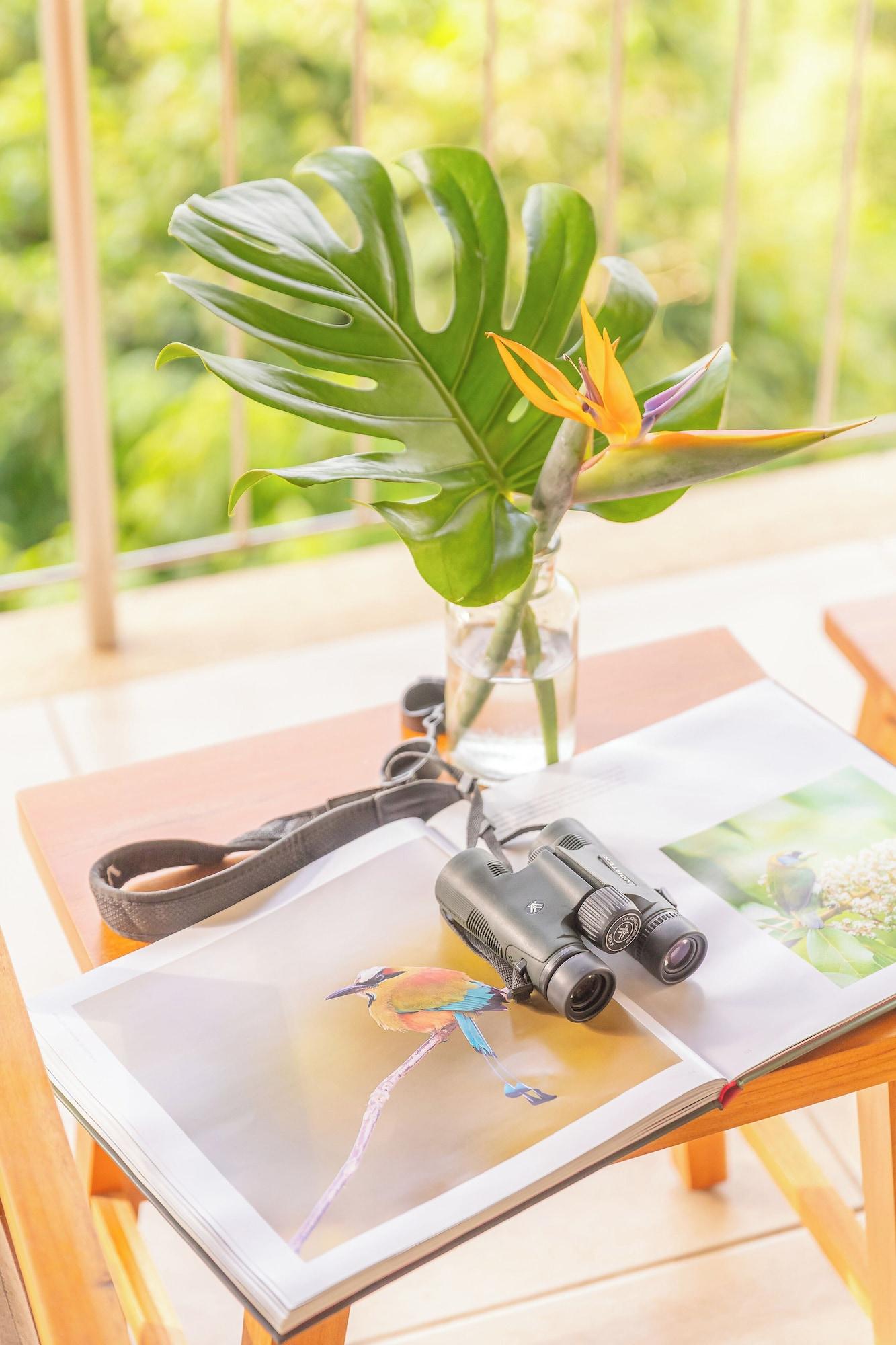 Habitación Hotel Boutique Lagarta Lodge