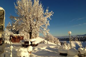 Alojamiento - Hotel Moosegg