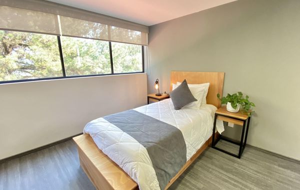 Bonsai Second Home - Hoteles cerca de Six Flags en Ciudad de México