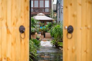 Alojamiento - Floral Joy Cat Hotel